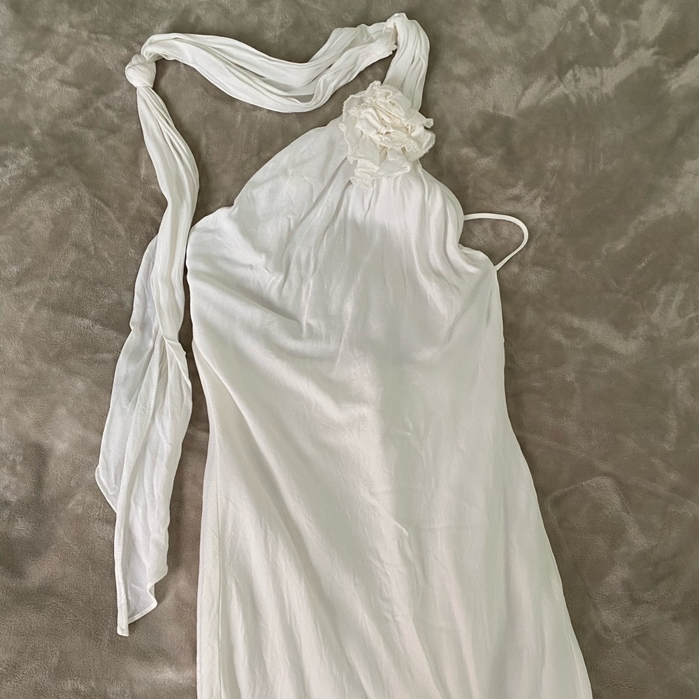 Zara rose dress